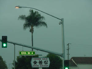 bp1003tenthcam.jpg